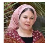 גב' בכל סרלואי